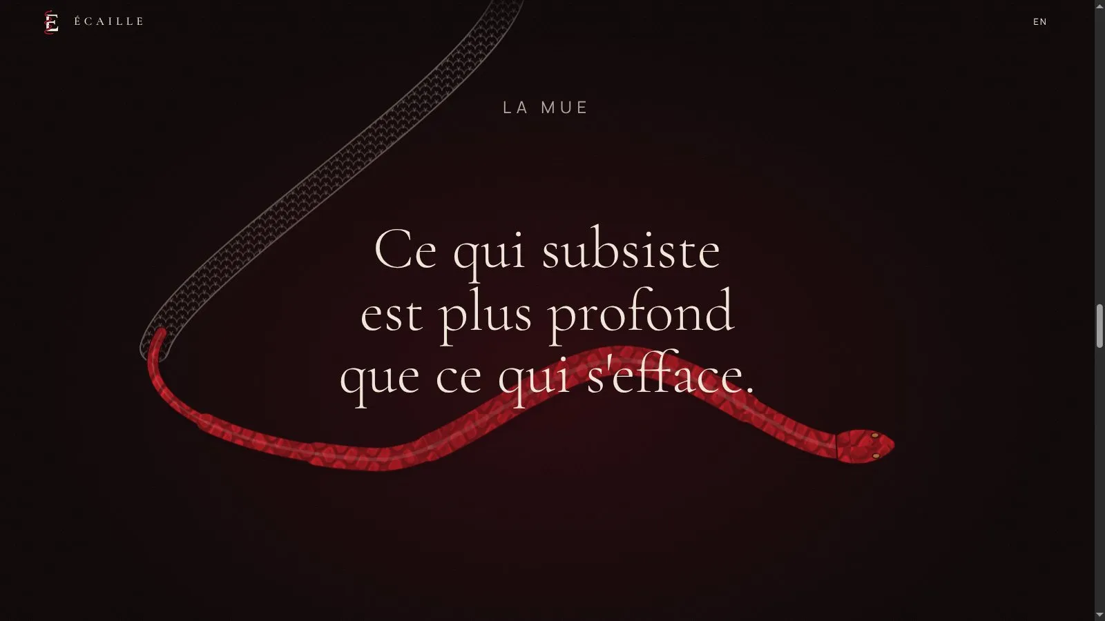 La mue, où le serpent sort de sa peau qui reste derrière lui en trace pâle