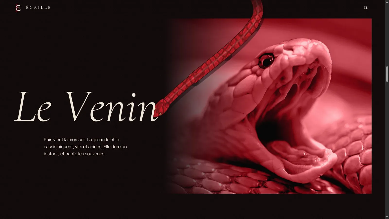 Le chapitre Le Venin, avec la tête du serpent dressée, gueule ouverte